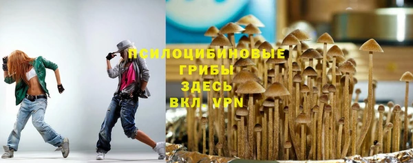 mix Абаза