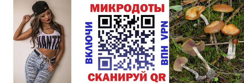 где купить   Комсомольск-на-Амуре  Псилоцибиновые грибы Cubensis 